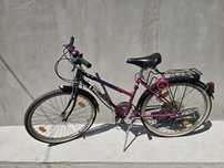 Bicicletă Pegasus trekking/city 26"