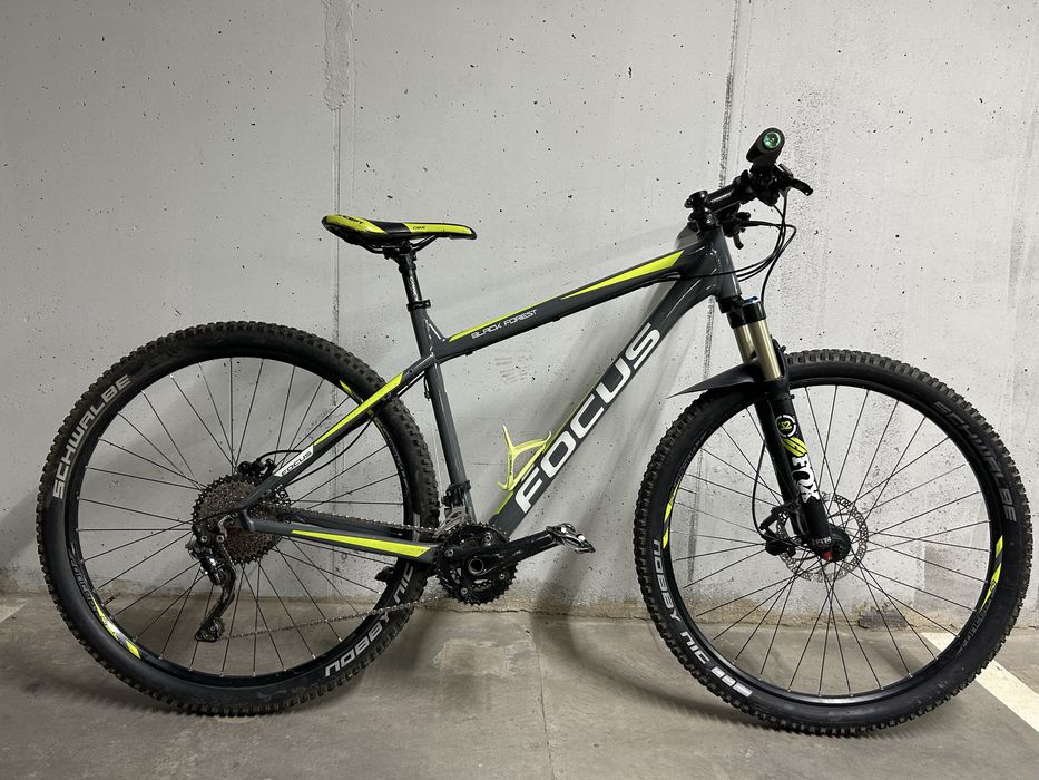Focus Black Forest LTD-29