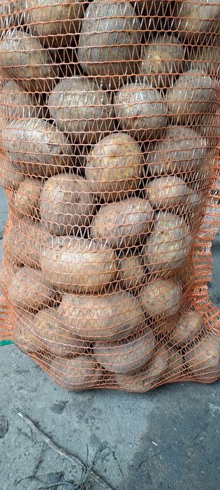 Vand cartofi consum alb