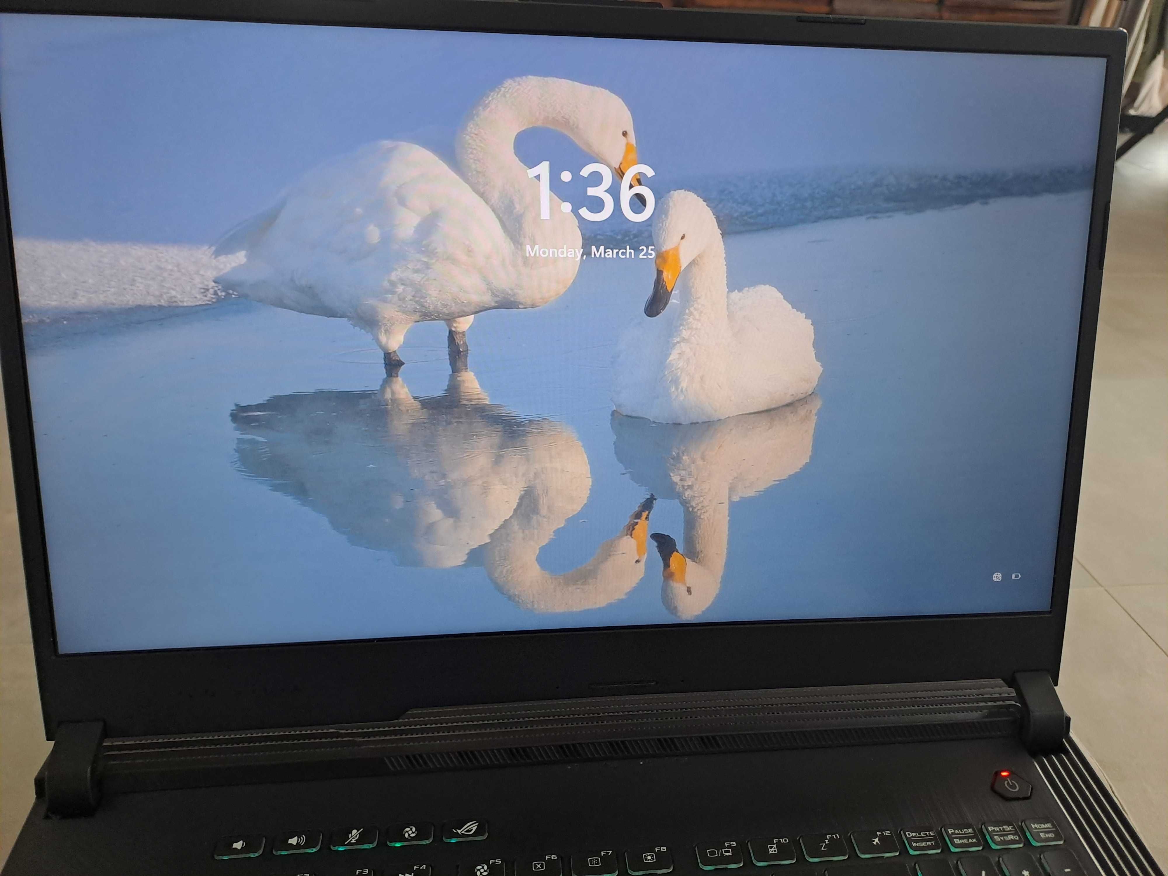 Laptop Asus Rog Strix G731G