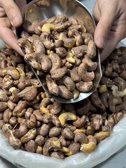 Кешью в кожуре жаренный солённый кешью в скорлупе qobig'idagi keshyu