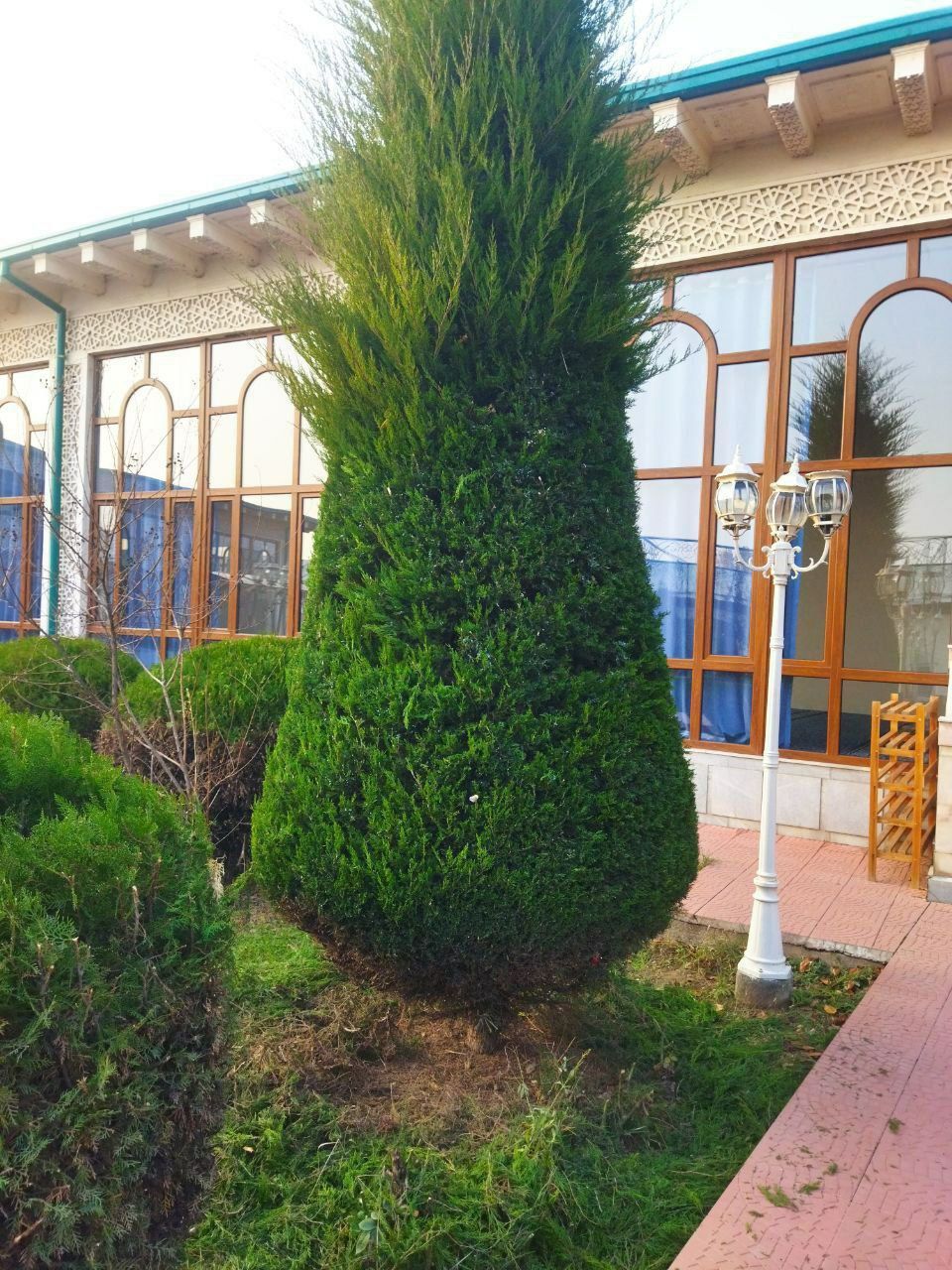 Bog'bon Арча кесиш дорилаш va Gazon ikkish gul ikkish