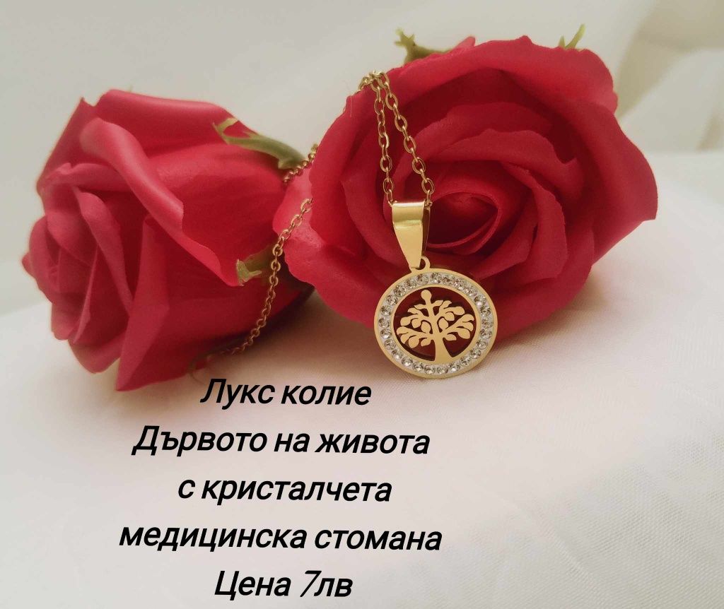 Колиета от медицинска стомана