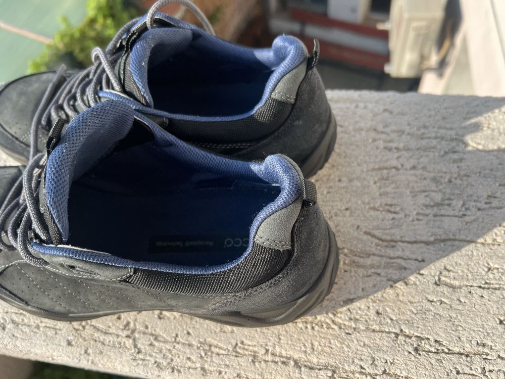 Ecco Receptor 43