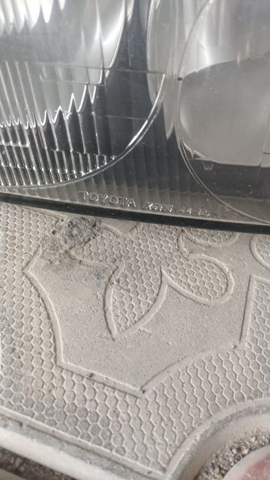 Ипсум ипсун ipsum picnic пикник