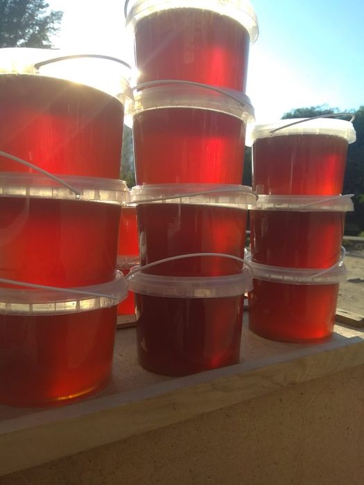 Продам мед разнотравие