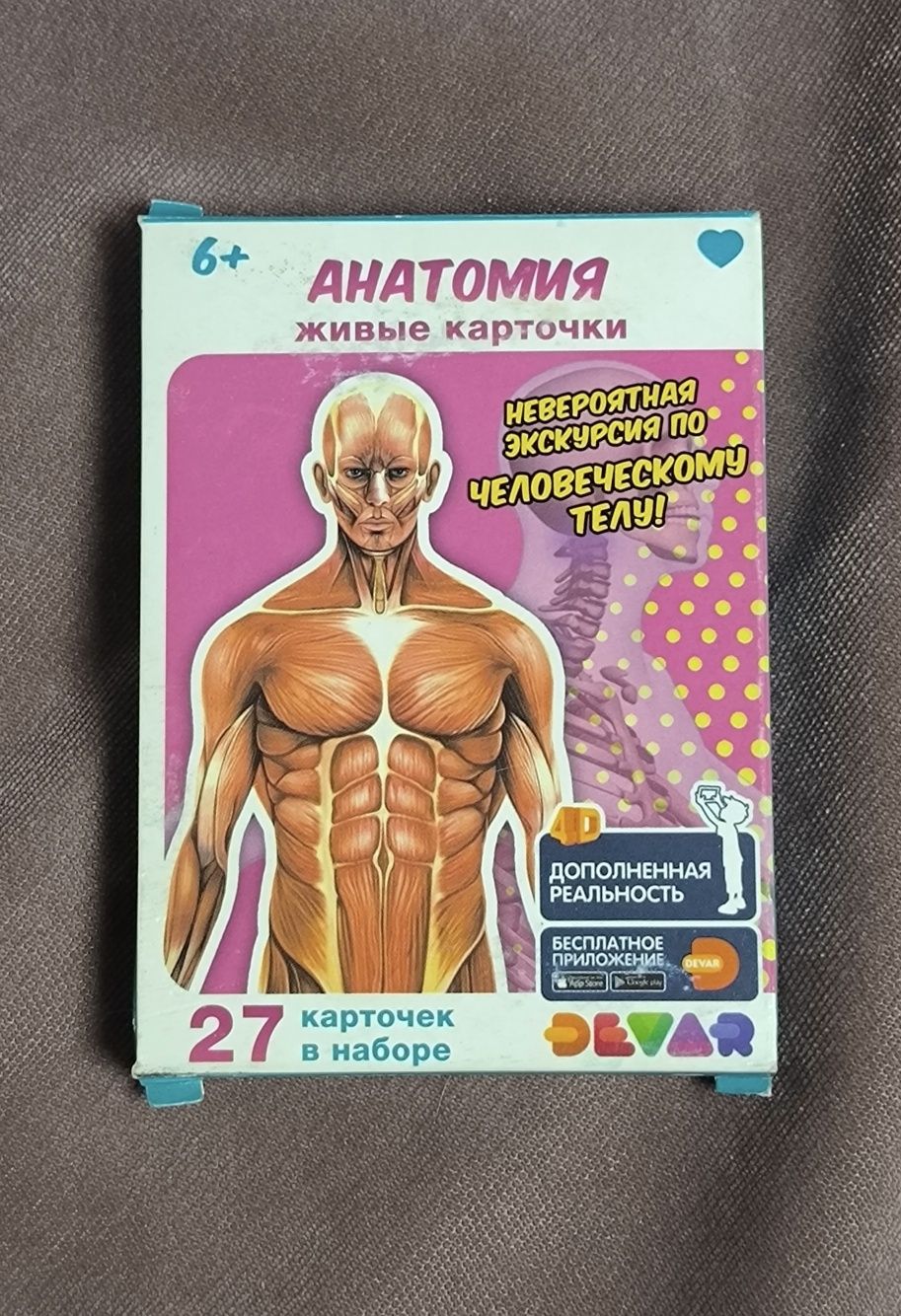 Живые карточки "Анатомия"