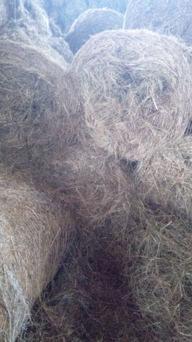 •Baloți din fân calitate de vânzare