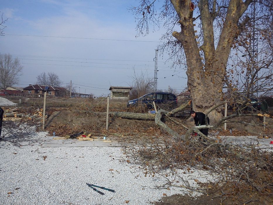 Почистване  и поддръжка на дворове!!!