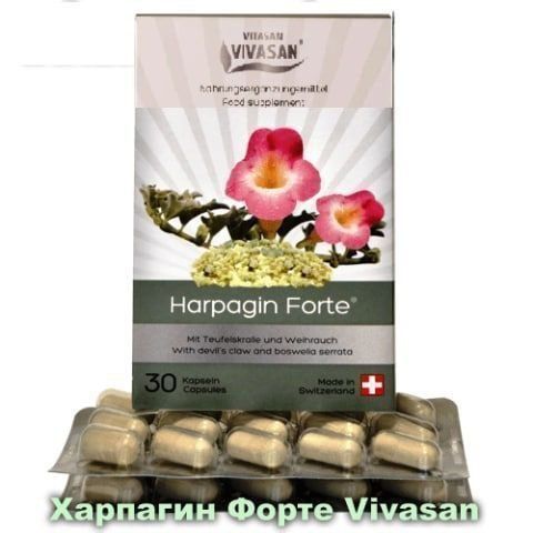 Харпагин Форте - это капсулы  с экстрактом африканского растения