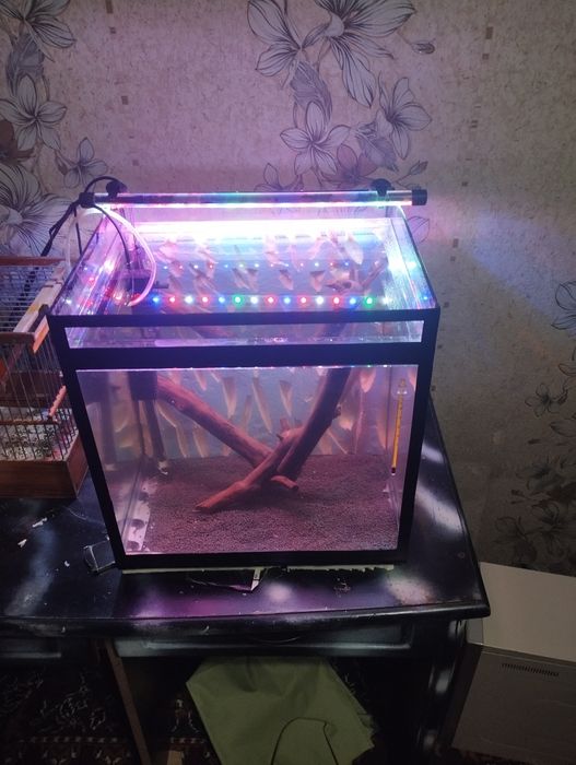55litrli Akvarium sotiladi