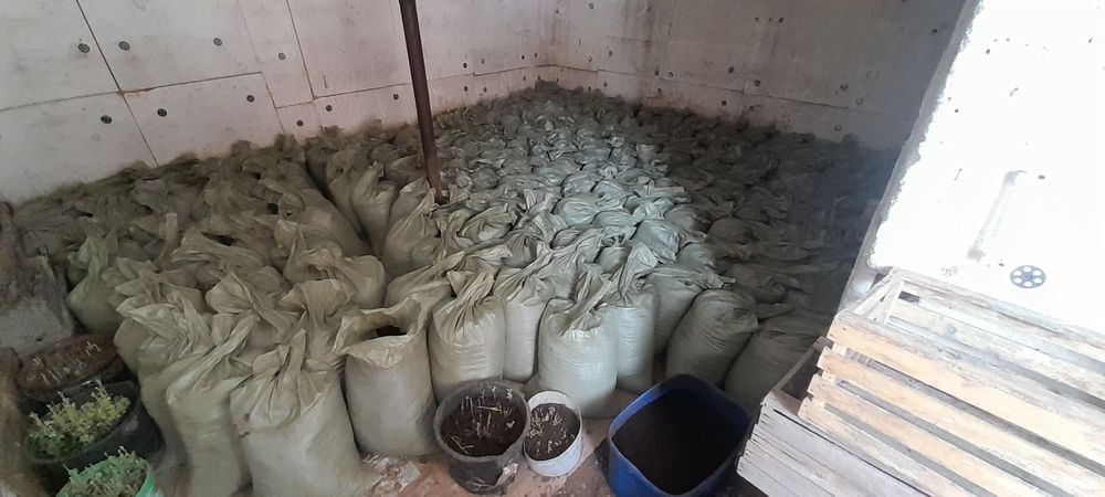 Биогумус удобрение