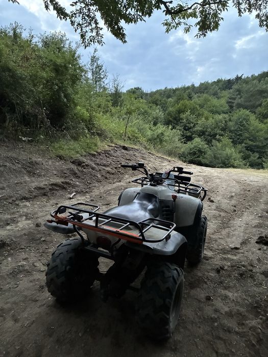 Vand linhai 300cc