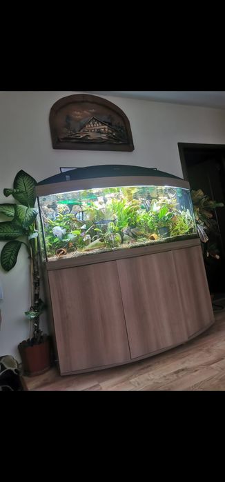 Juwel 450 acvariu vision