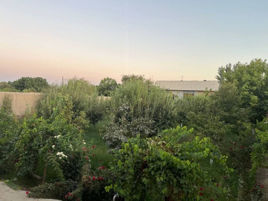 Uy sotiladi paxtachi tuman Oxin Qo‘shxovuz MFY