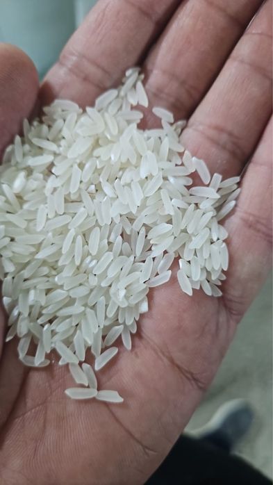 Лазер күріші 25 кг 18750