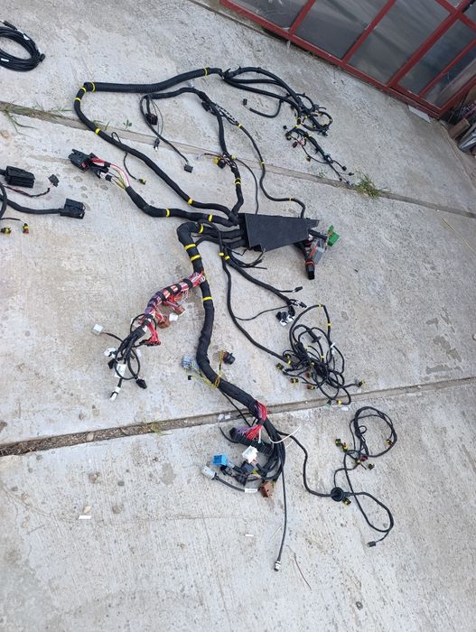 Diagnoza motoare mercury