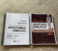 pachet anatomia omului victor papilian