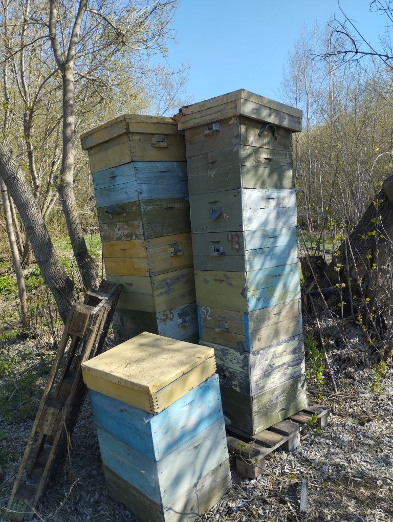 Улья для пчёл улики ульетара пчелотара корпуса