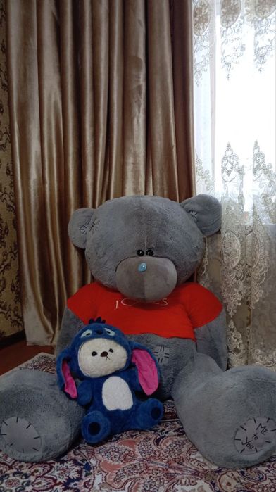 Teddy yengidek ikalasi 1 mln