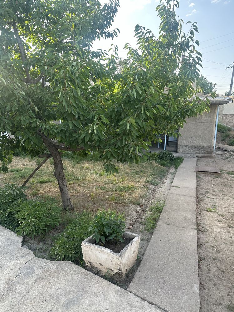 Uydan 20 metr tepada kotta moshina yo’l o’tgan juda qulay