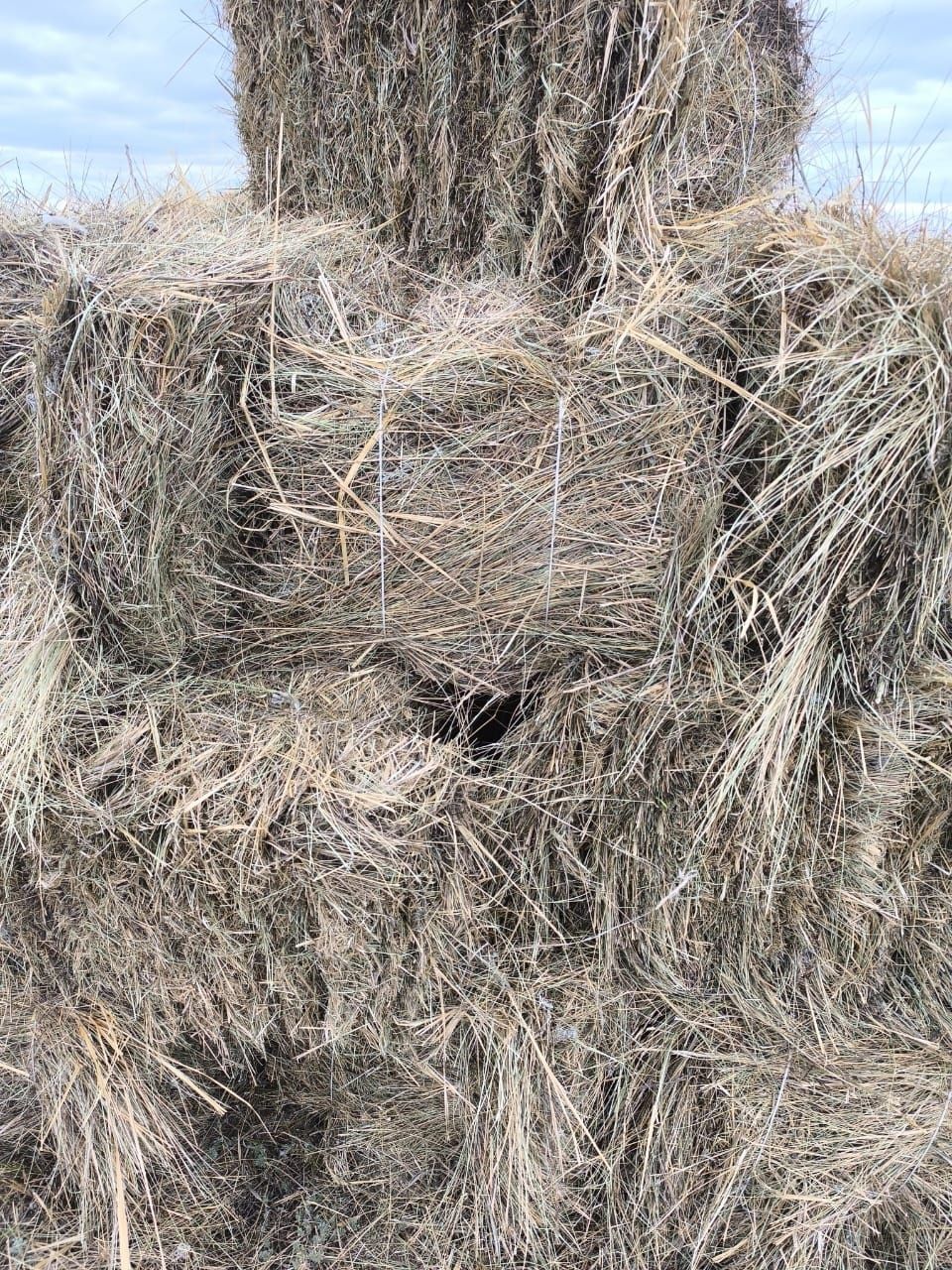 Продаеться  сено