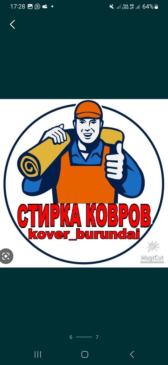 Профессиональной СТИРКА КОВРОВ