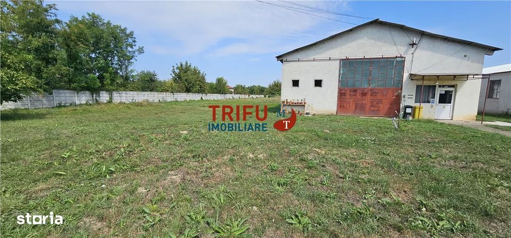 Hala de inchiriat Alba Iulia