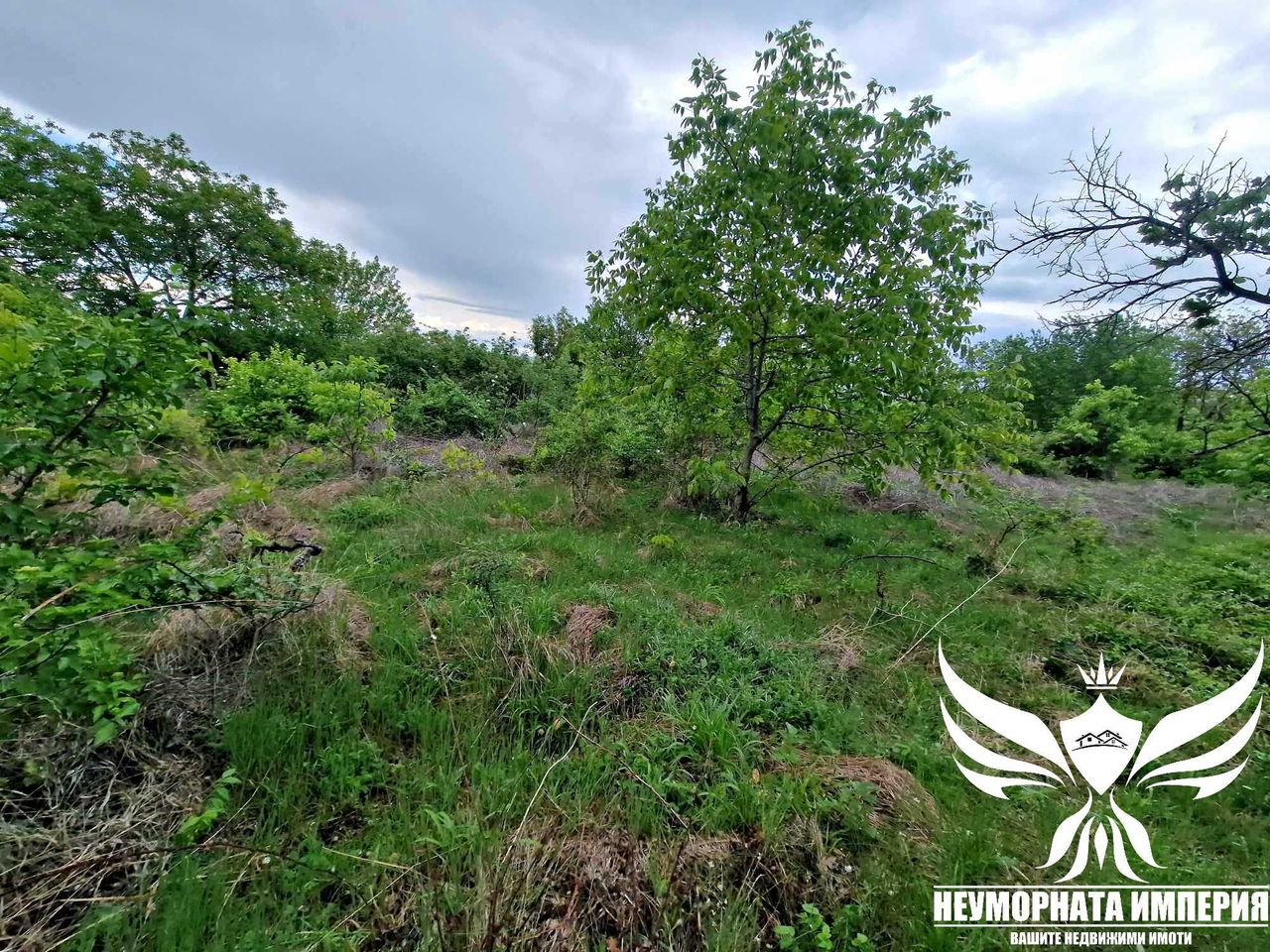 Продава се Парцел в Асеновград - 600 кв.м за 19 €/кв.м - Снимка #6