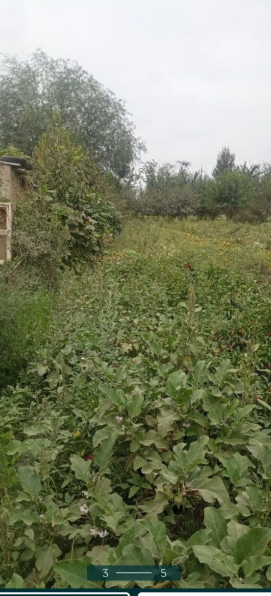 Дала ховли участка 10сотих