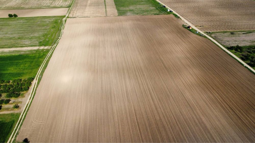 Продава се Парцел в с. Цалапица, Област Пловдив - 33600 кв.м за 0 €/кв.м - Снимка #7