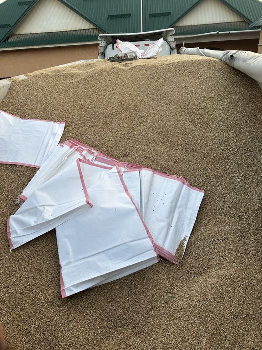 Пшеница 3 класс, отличного качества