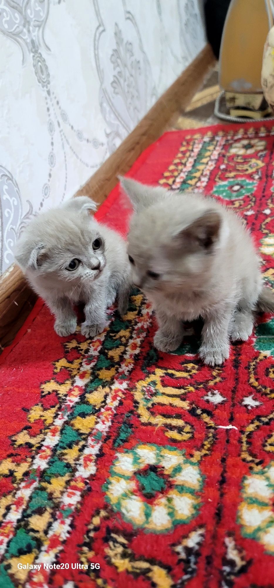Скотч фол, страйт мушук