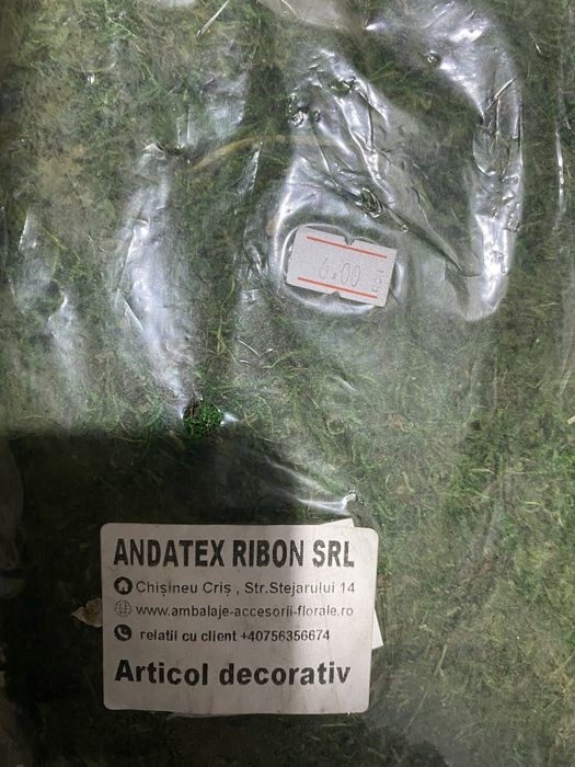 licheni si muschi naturali