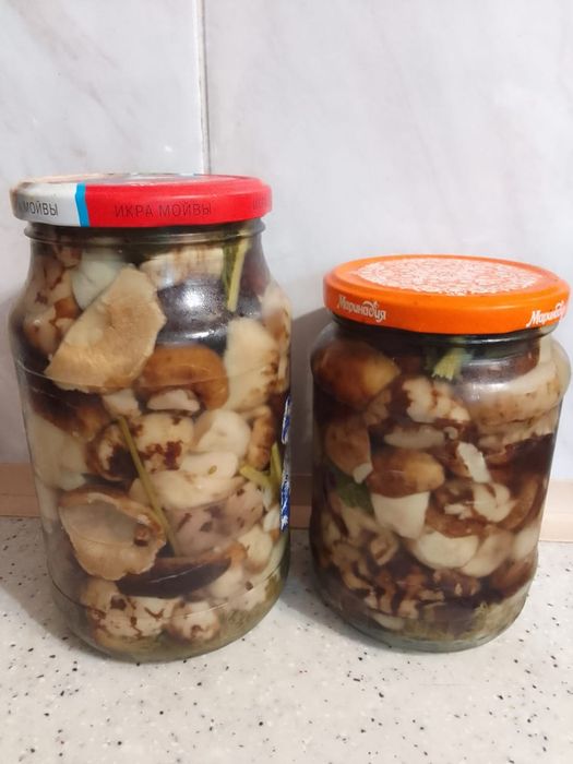Грибы Валуи солёные вкусные чистые