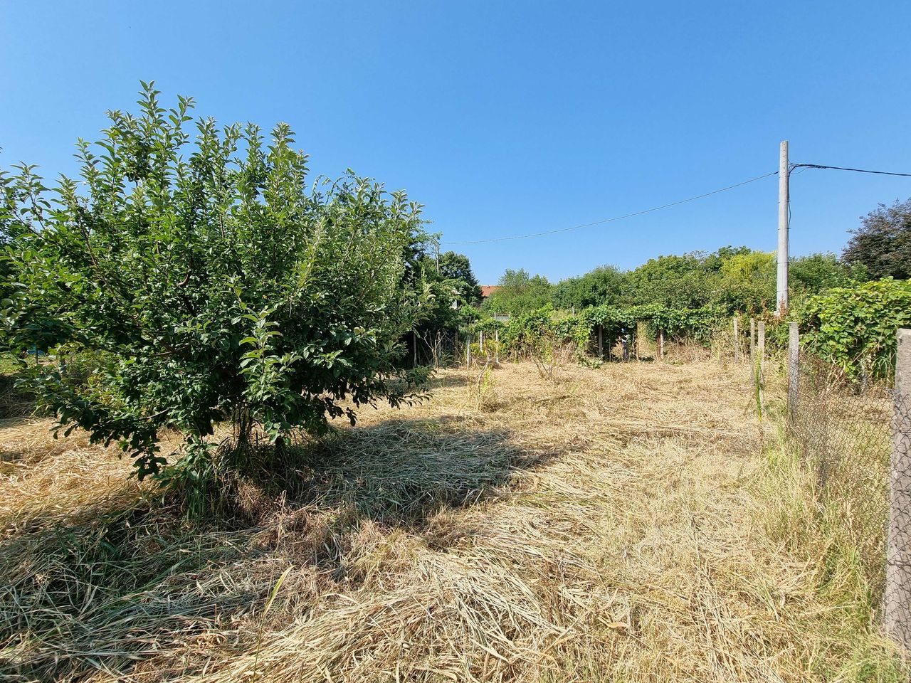 Продава се Парцел в Видин, Акджамия - 826 кв.м за 31 €/кв.м - Снимка #11