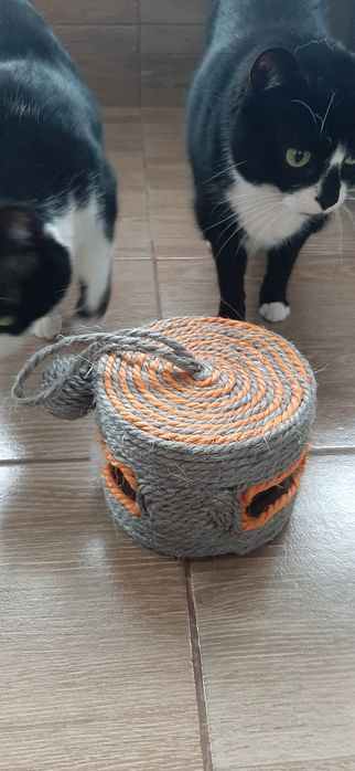 Jucărie pentru pisici