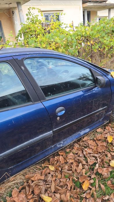 Peugeot 206 An 2001