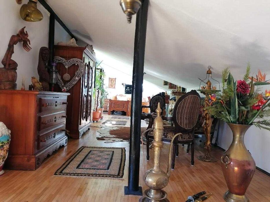 COTROCENI - Aici a visat și a creat pictorului Zamfir DUMITRESCU