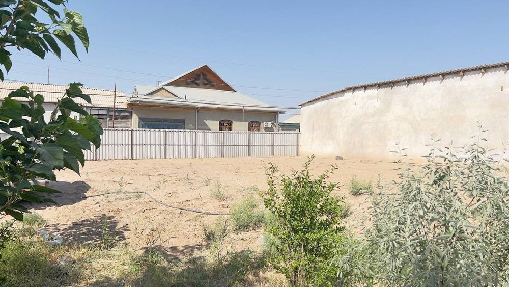 Термиз йер 5 сутук