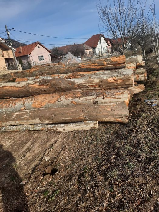 Vând lemn de foc fag