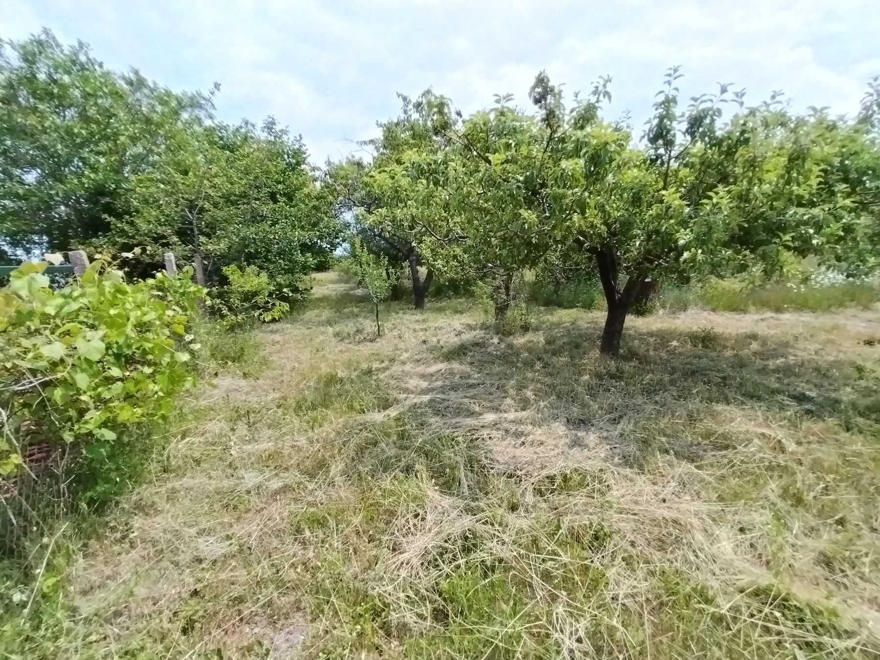 Парцел вилна зона с.Осеново/Аксаковска общ./
