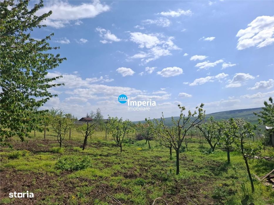 Casa batraneasca cu 1300 mp teren Chicerea Tomesti