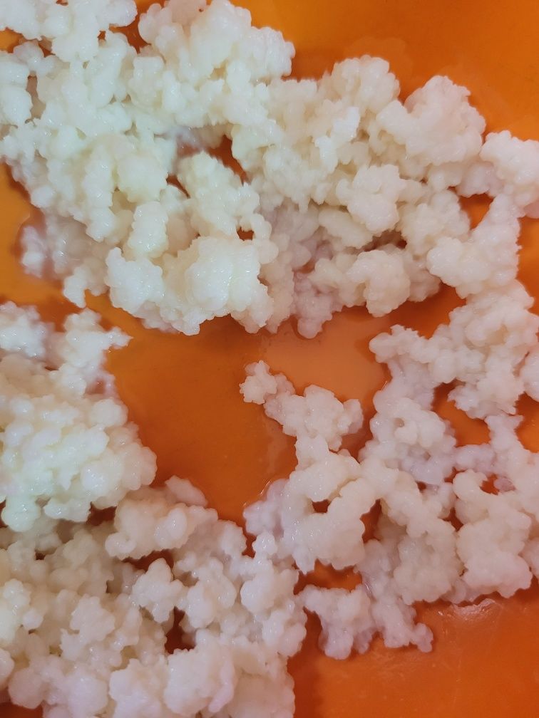 Granule pentru kefir