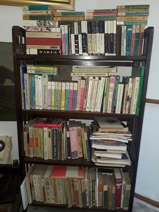 Lot de carti vechi biblioteca, literatură, beletristică