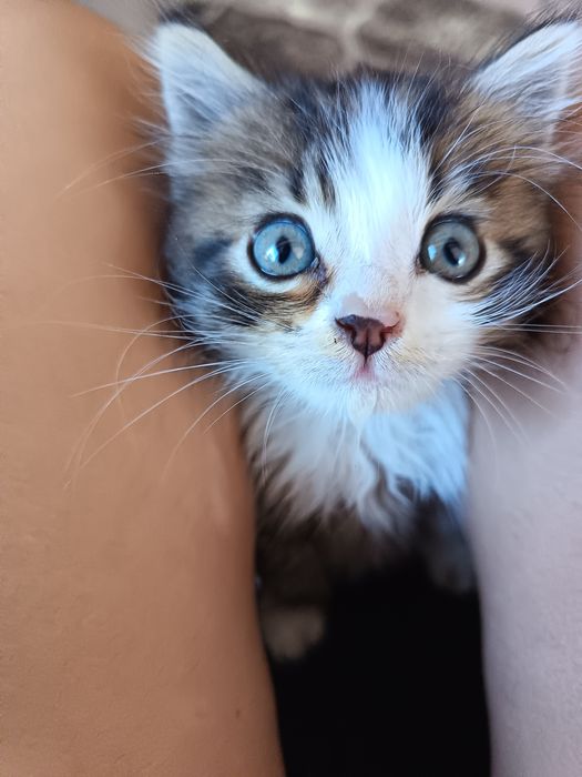 Подарявам бебе Рая