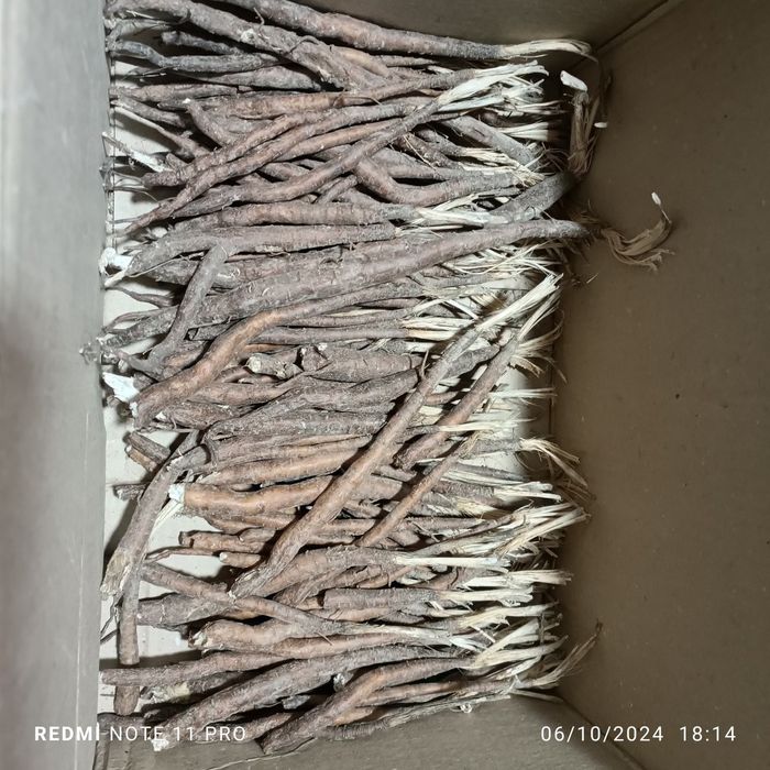 Kavrak ekib berish xizmati