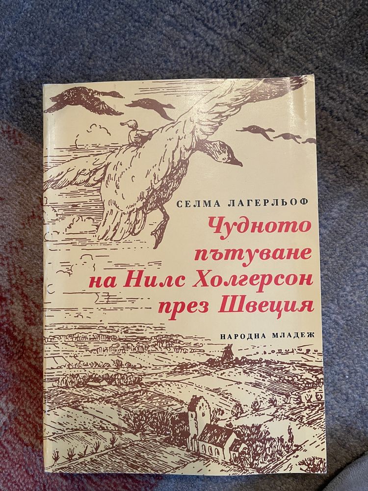 Книги и речници в добро състояние,единична цена  5 лв.