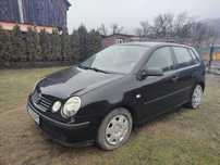 Vand Volkswagen Polo 2004