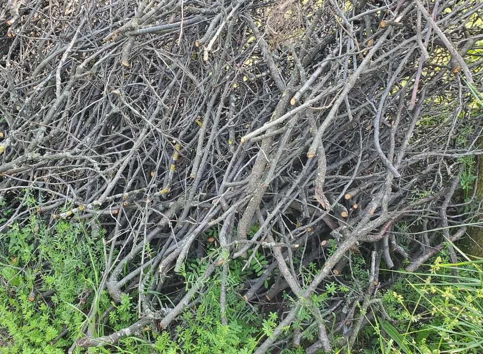 Tocatura crengi vrac 3.5m3